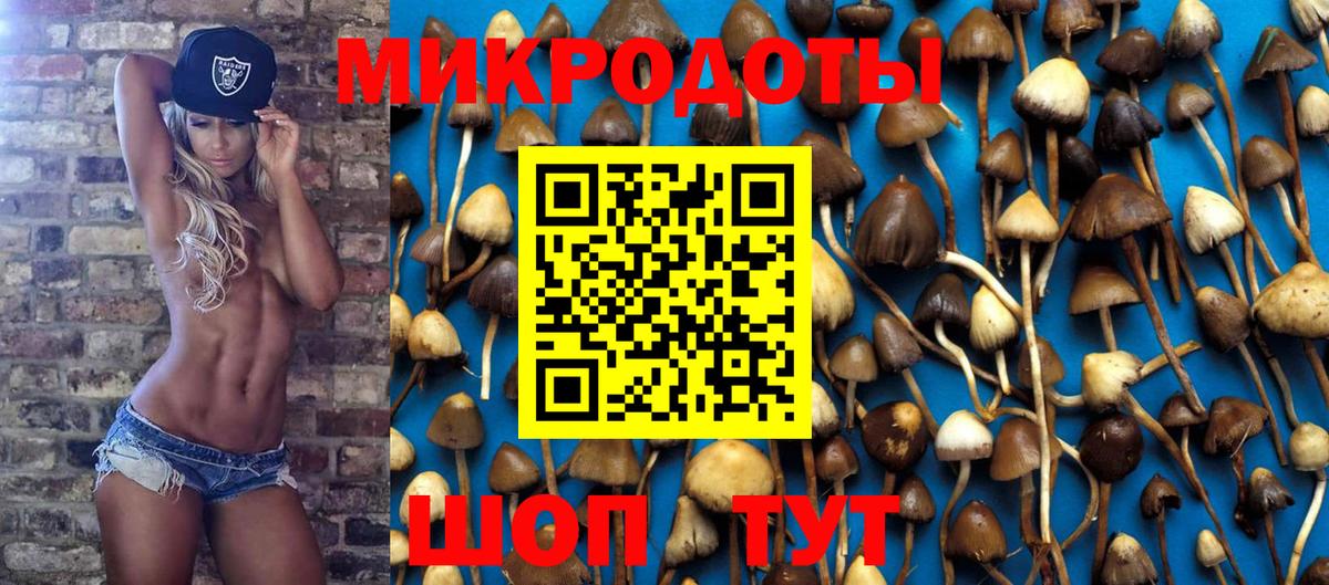 Кудымкар  Псилоцибиновые грибы мицелий  Вход с VPN 